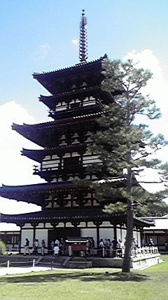 2010082910500000.jpg
