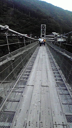 2010082917480000.jpg